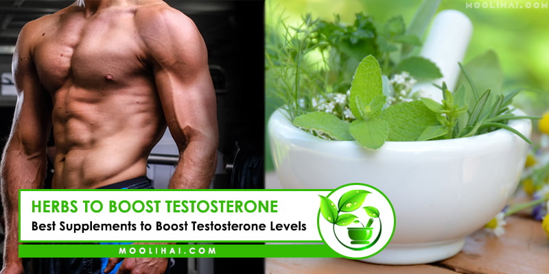 Best Herbs to Boost Your Testosterone Level | Be Healthy - Moolihai.com