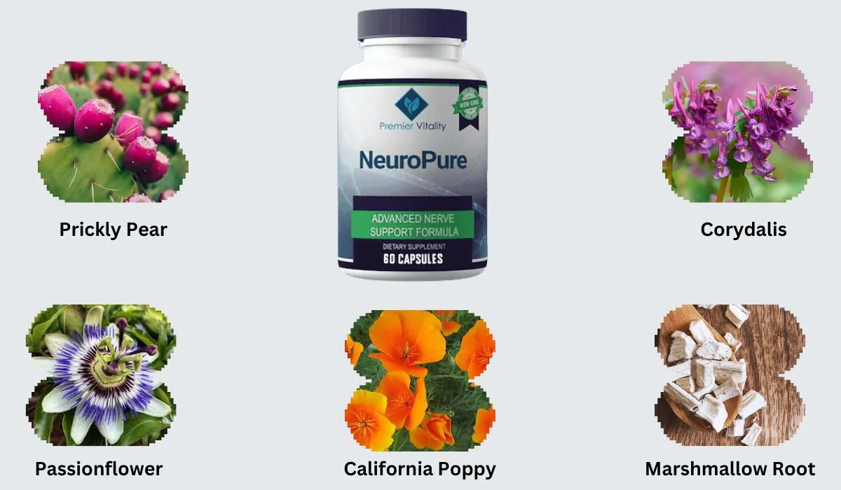 NeuroPure Reviews: Is It Effective For Increasing Energy Production?