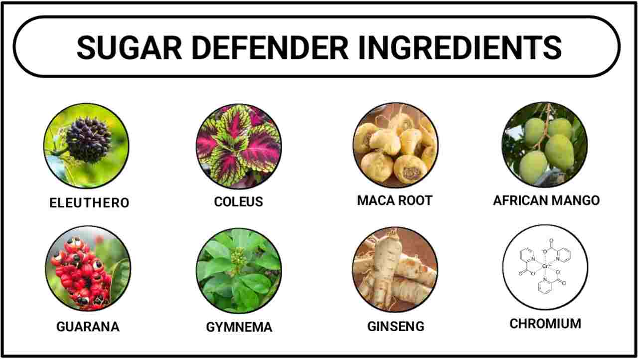 Sugar-Defender-Ingredients_1823210.jpg