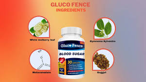 Gluco Fence Reviews - What Real Users Are Saying?